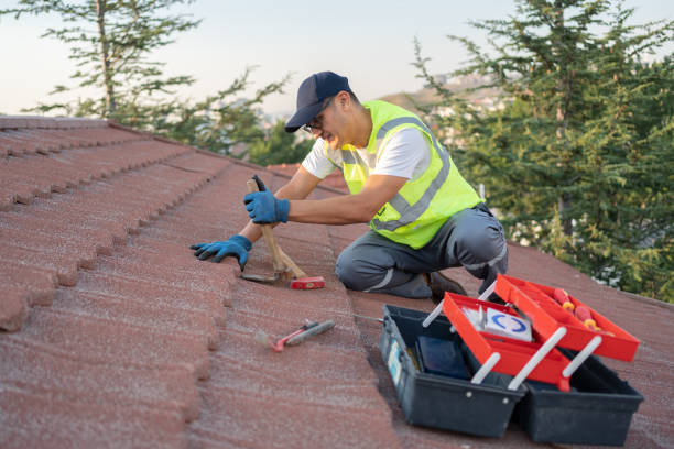 Best Roof Gutter Cleaning  in Tariffville, CT